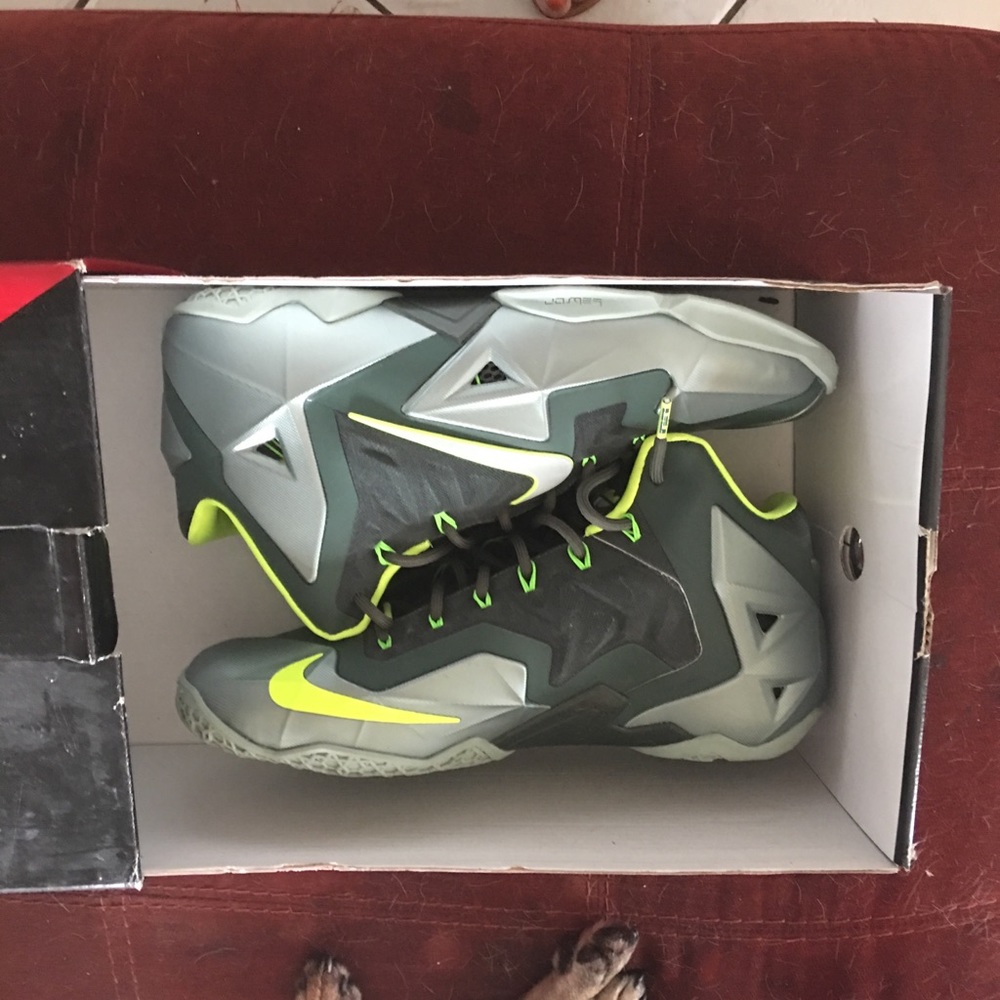 Lebron James X1. 10.5 collectors boxed